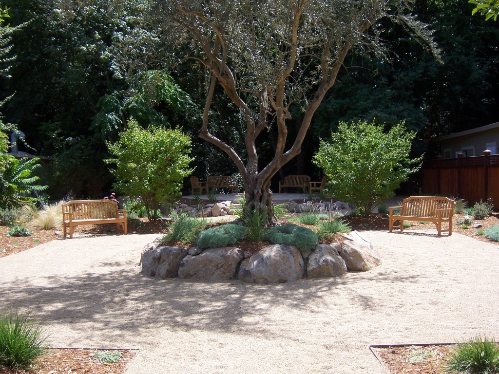 July 2009 Forgiveness Garden