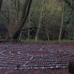 labyrinth by Gillian Hushcrop2