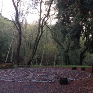 labyrinth by Gillian Rush